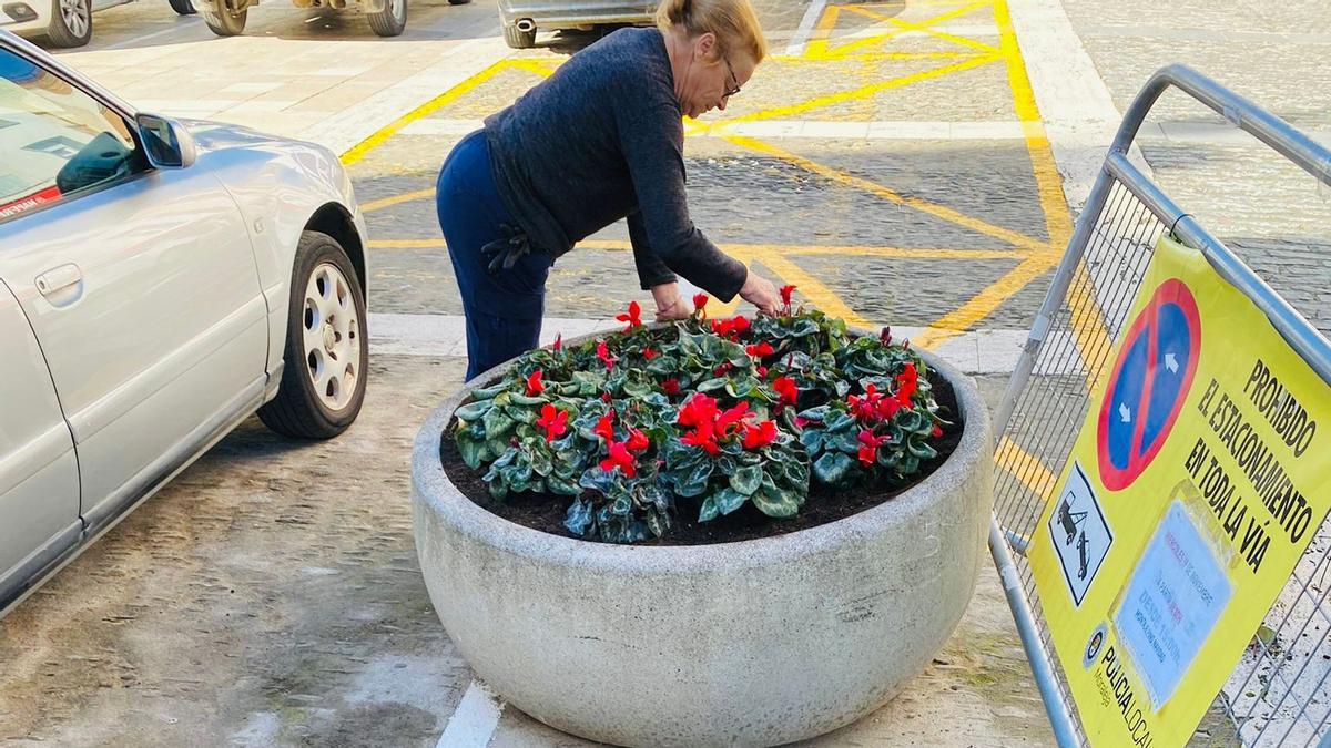 Una empleada municipal junto a unas plantas ornamentales.