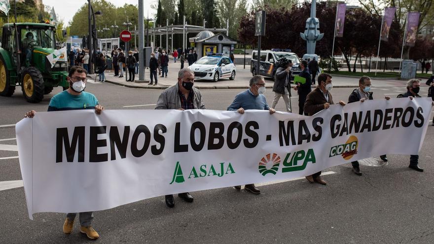 Reacciones en Zamora | Lorenzo Rivera, COAG: "Los ganaderos sufrirán las fatales consecuencias"