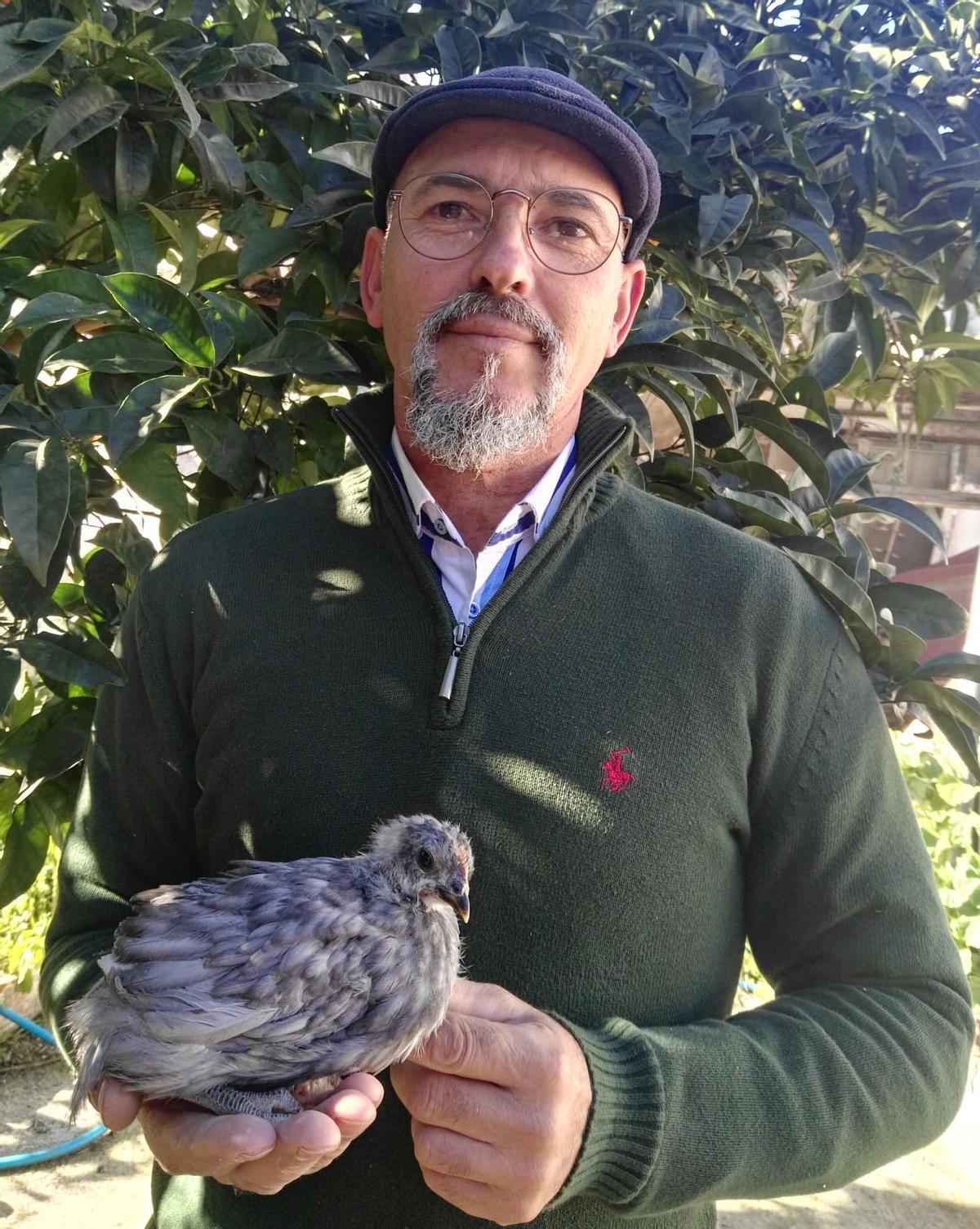 Juan Luis Gala, ganadero y presidente de la Asociación de Criadores de Gallina Extremeña Azul.