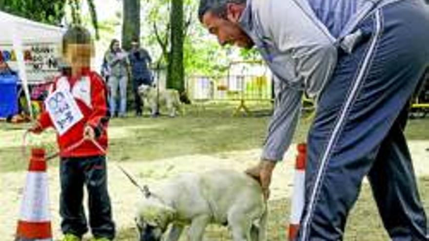 Perros con premio