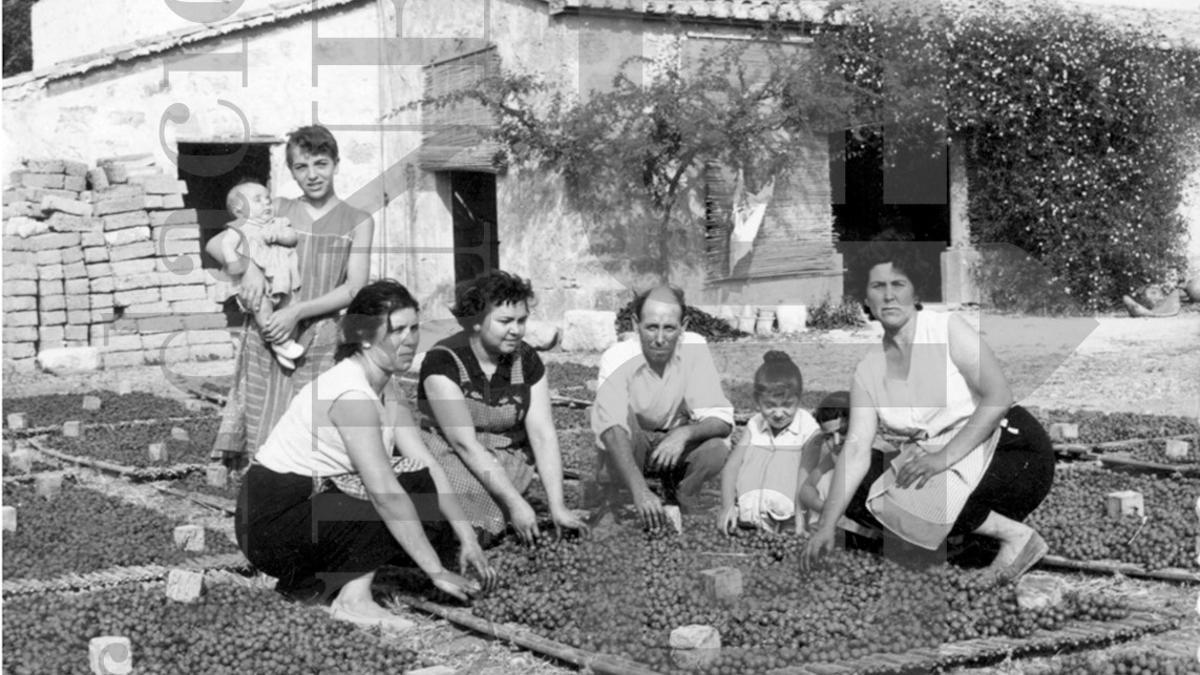 Una de las fotografías de la elaboración de pasa del fondo de la Fundació Cirne
