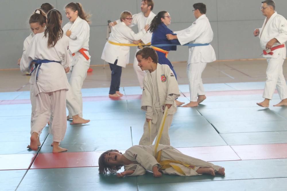 Judo para todos