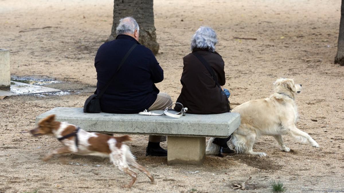 Dos personas conversan mientras sus perros pasean.