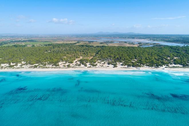 Playa Es Trenc, Mallorca