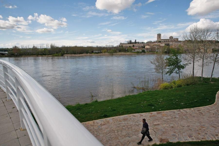 Crecida del río Duero a su paso por Zamora