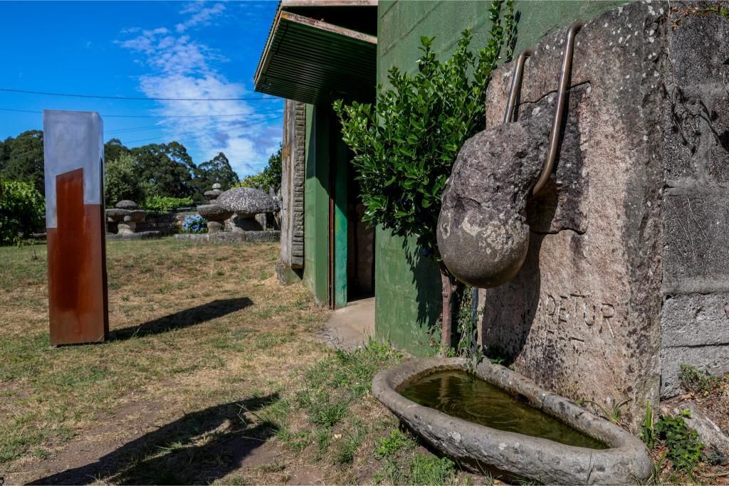 Así es el territorio de artista de Francisco Pazos