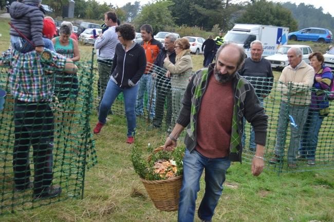 Concurs de bolets de Berga