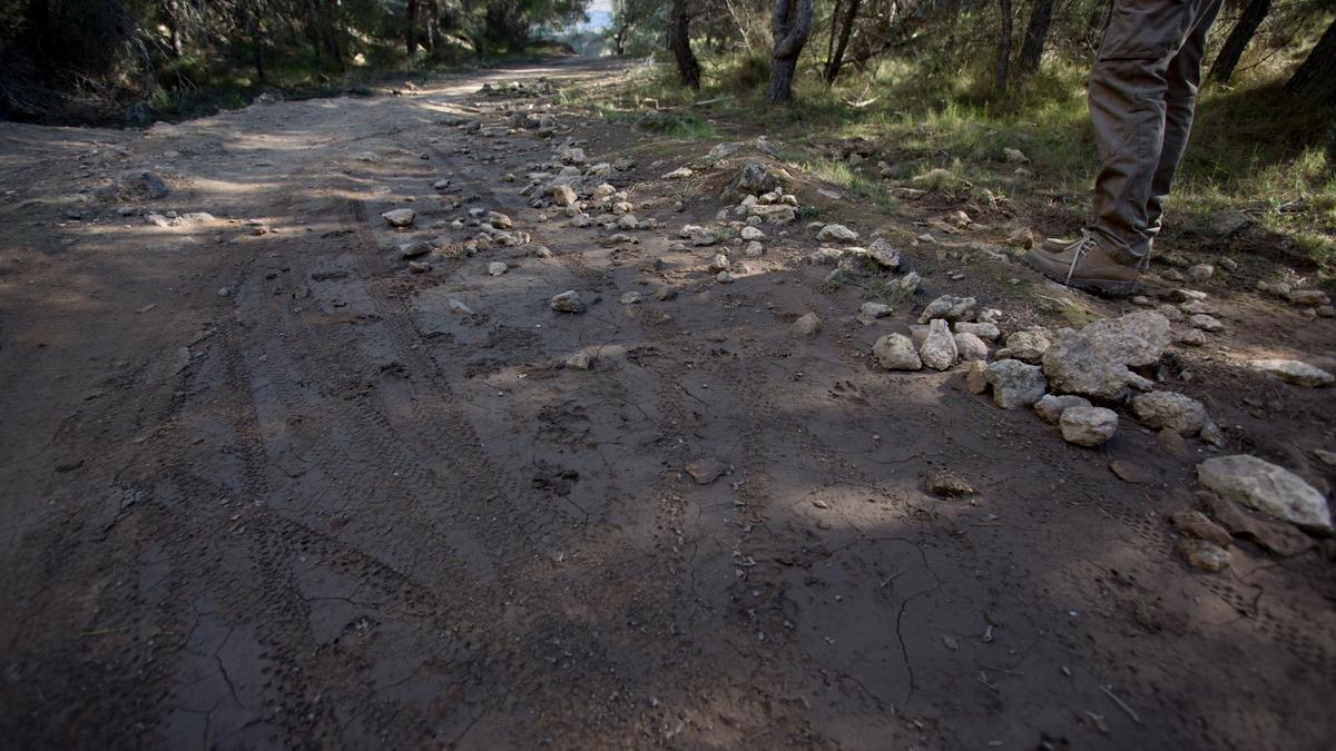 Zona del Monte Orgegia donde un ciclista resultó herido a perdigonazos el año pasado.