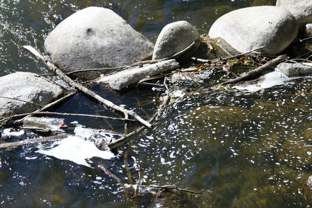 Aigua poca neta al Segre. Abans, a l’altura de Martinet de Cerdanya, el Segre era un riu on hi havia truites perquè les aigües baixaven netes. Últimament, en canvi, és difícil veure peixos en aquest tram. La poca cura d’alguns ciutadans i l’escassetat de pluges d’aquest estiu han deixat el cabal poc atractiu per a la fauna. El riu arrossega residus de brutícia que formen bancs d’espuma, com els que es veuen a la foto. A veure si recuperem el Segre de sempre.