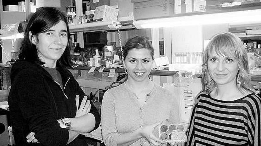 Por la izquierda, María Blasco, Katerina Strati y Rosa Marion en el laboratorio.