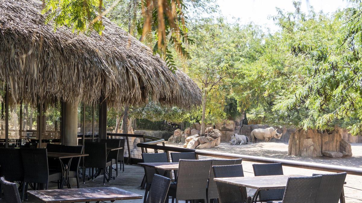 Restaurante Samburu de Bioparc Valencia, con vistas a la sabana.