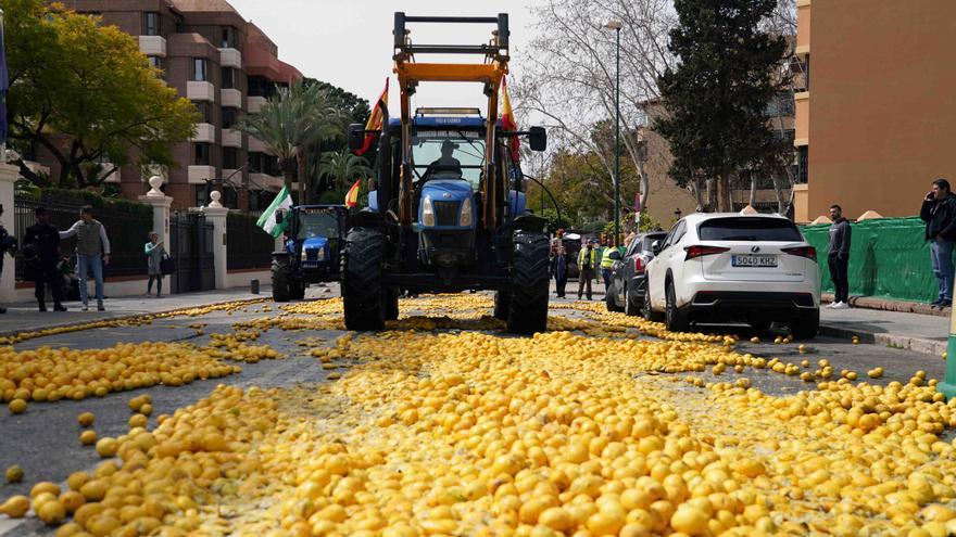 La tensa protesta de los agricultores de Málaga, en fotos