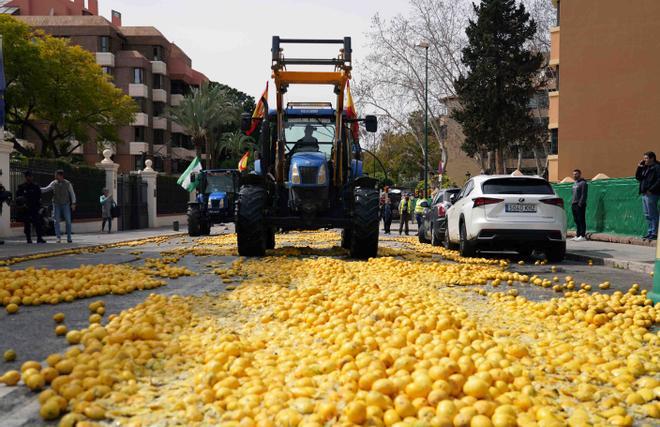 La tensa protesta de los agricultores de Málaga, en fotos