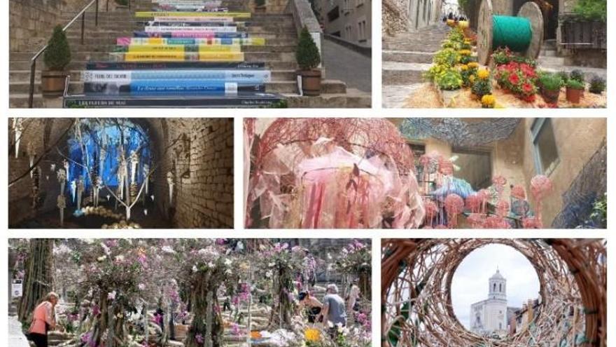 Vota el millor muntatge de Temps de Flors 2019