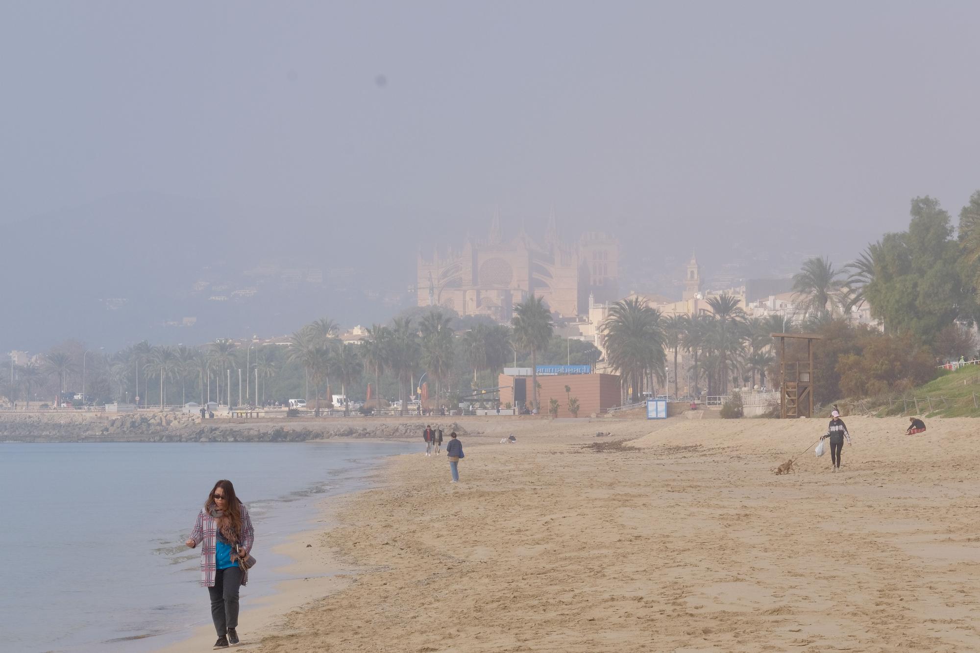 FOTOS | Mallorca amanece cubierta de niebla