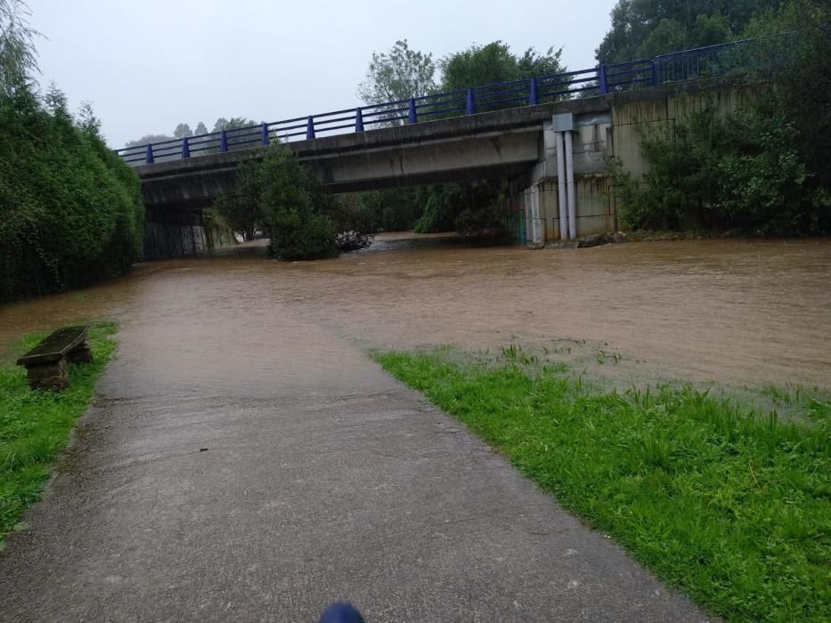 El paseo fluvial del río Carrocéu, a la altura de Pancar.