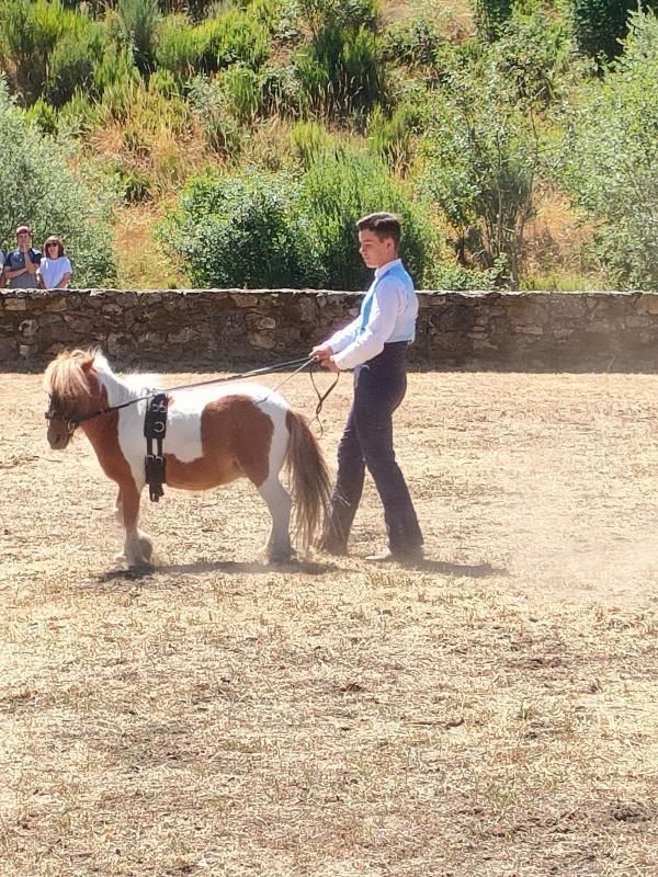 Porto recupera su feria ganadera caballar con espectáculo ecuestre