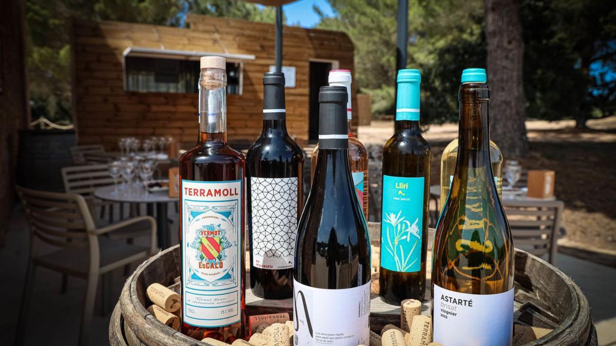 Vinos de la bodega Terramoll de Formentera