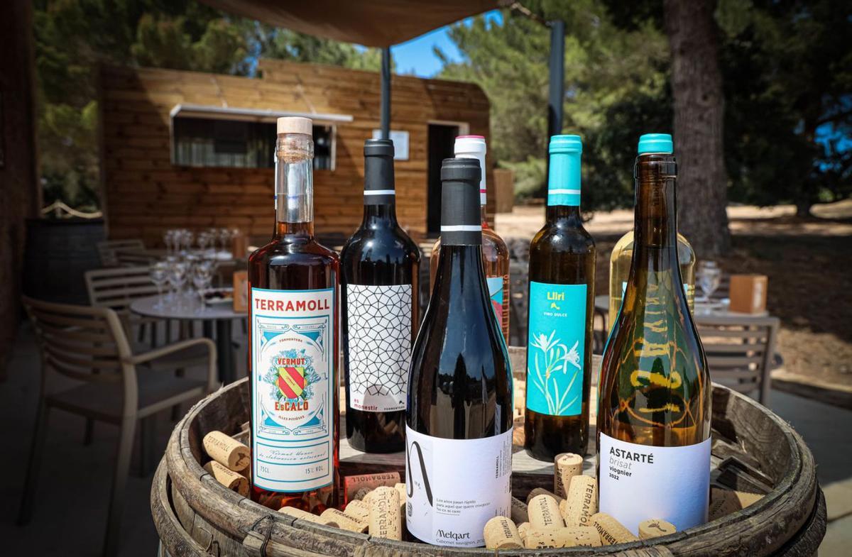 La alta salinidad es una de las características de los vinos de Terramoll, que los hace únicos e irrepetibles. | LAURA BARONE