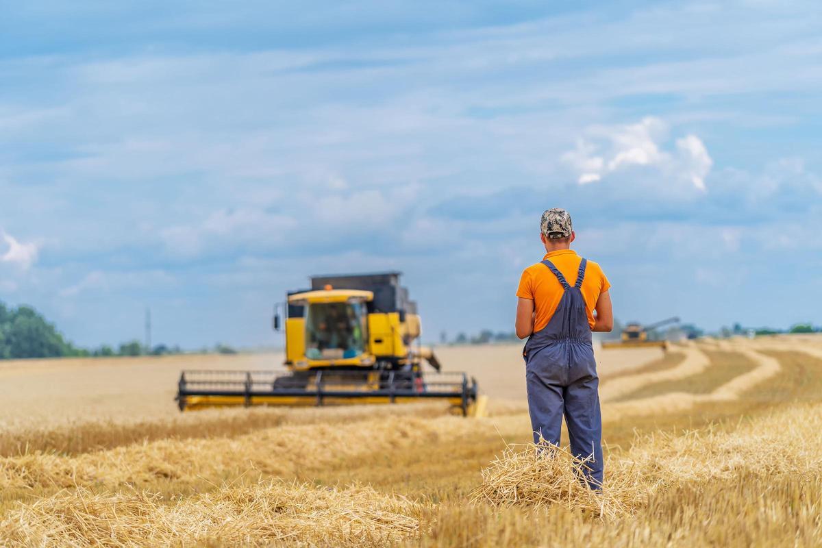 Un agricultores en un campo de cereales.