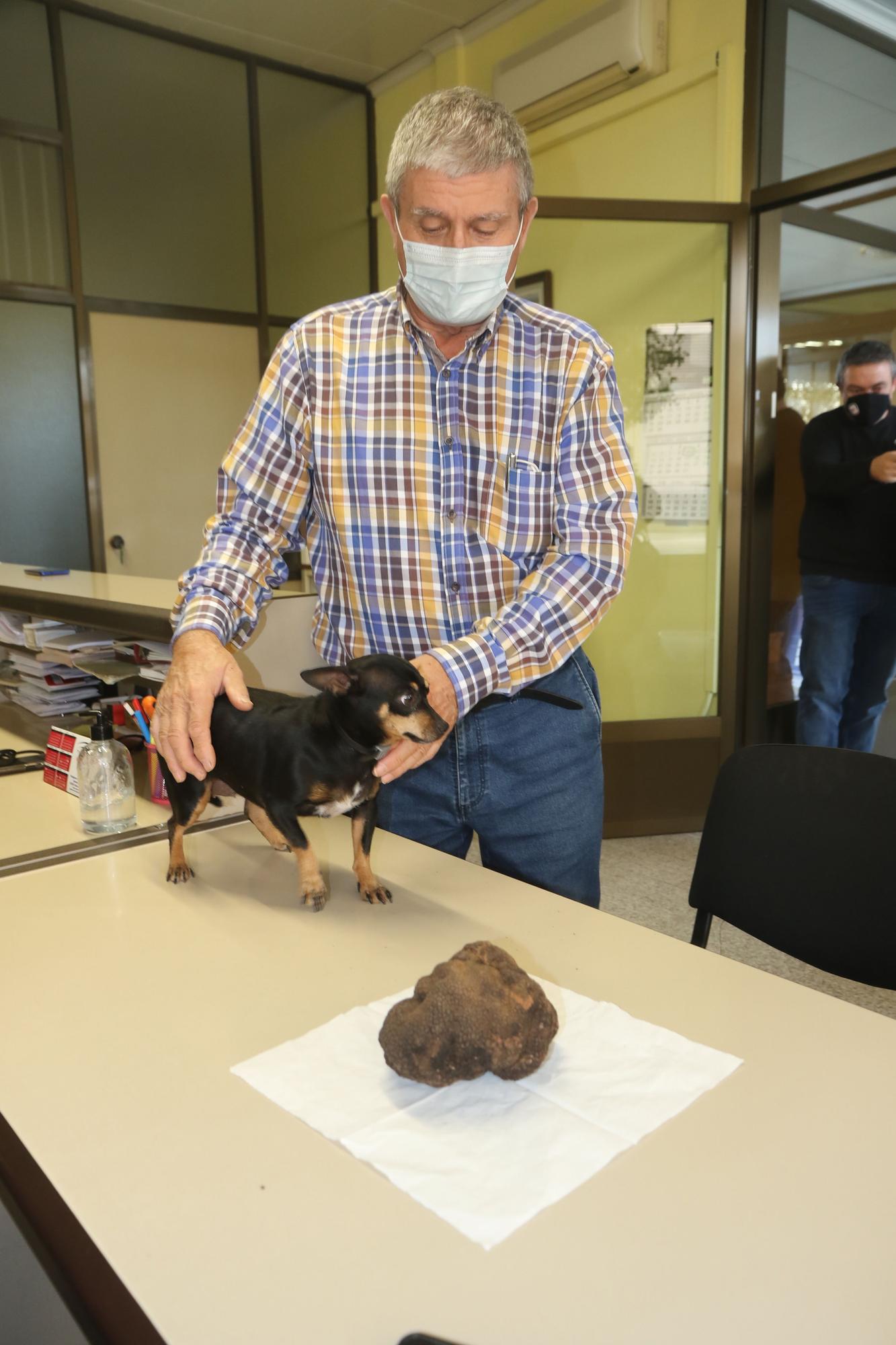 El alcorino Pedro Moreno y la perrita &#039;Linda&#039; que le ayudó a encontrarla.