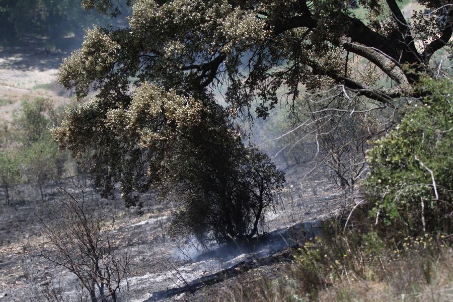 Fuego en las bodegas de Valcabadino