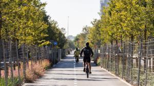 Un ciclista circula pel carril bici de la Avinguda Meridiana de Barcelona
