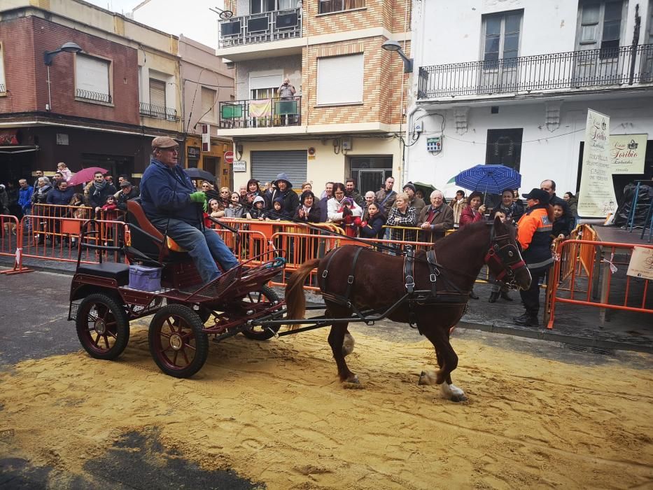 Bendición de animales en Xirivella.