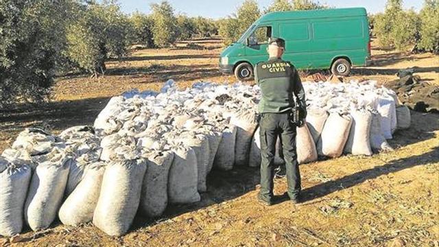 La Guardia Civil desarticula una banda dedicada al robo de aceituna