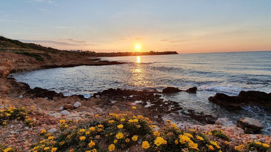 Conoce la Vega Baja a través de su gastronomía, su huerta y su paisaje único