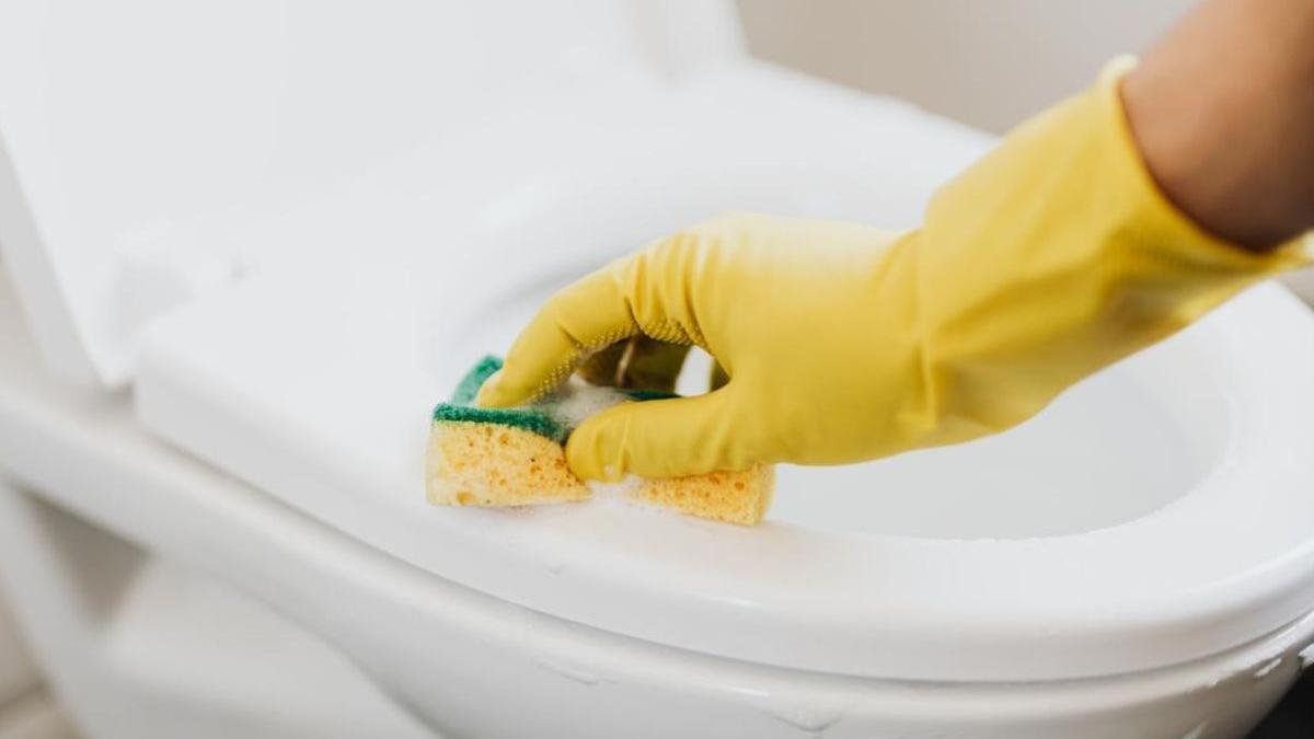 Estas limpiando mal el baño: este es el truco para desinfectar detrás del  inodoro que muy pocos conocen - Diario Córdoba