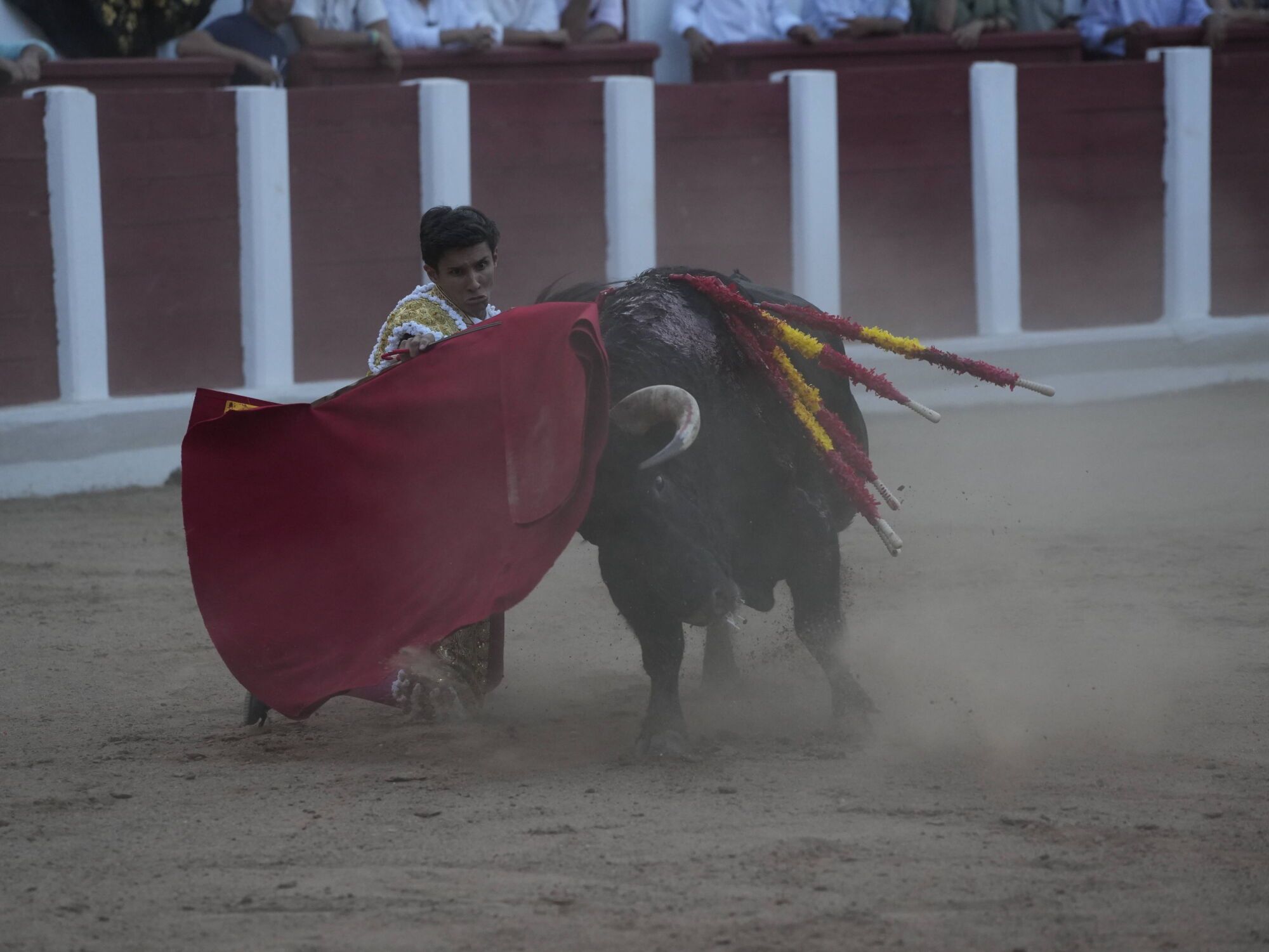Las mejores imágenes de la feria taurina de San Pedro en Zamora.