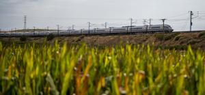 El Govern plantea que los AVE de Madrid entren a Barcelona por la Sagrera