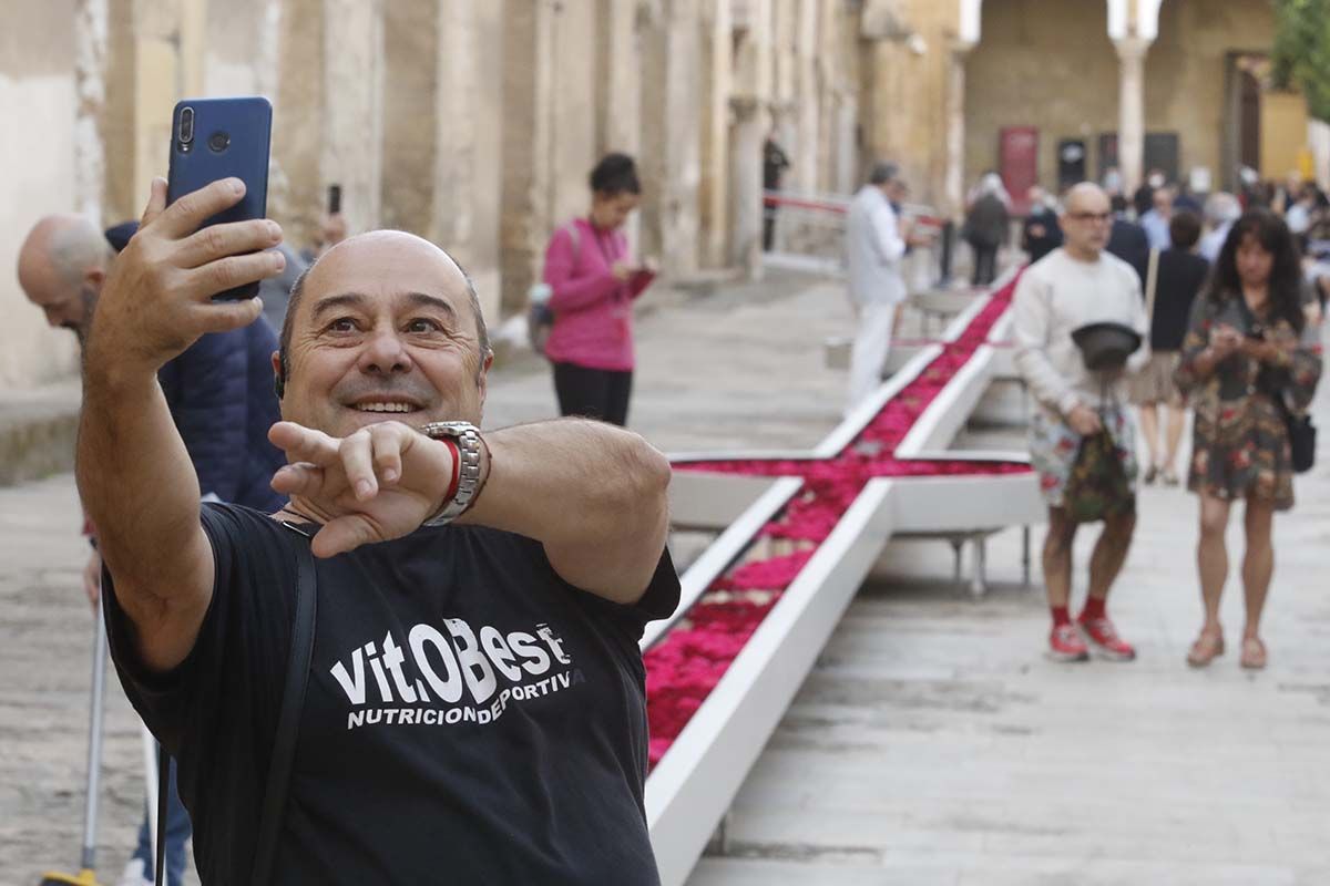 Instalación de la Mezquita Catedral