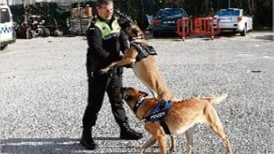 L&#039;agent de la policia de Lloret de Mar amb els dos gossos.