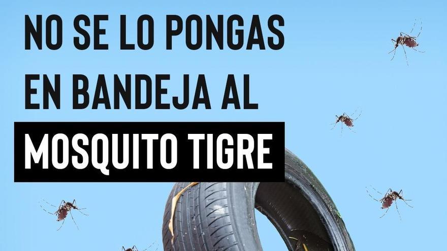 Contra el mosquito tigre en la Región: no dejar agua estancada y vestir manga larga