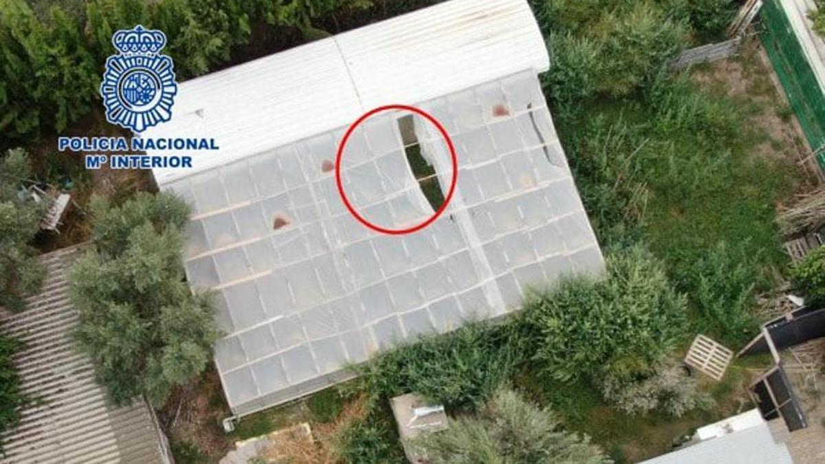 Imagen aérea de una de las plantaciones desmantelada en este operativo del Cuerpo Nacional de Policía.