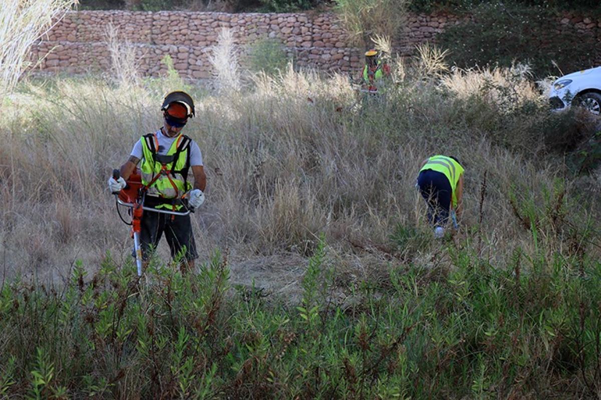 Operarios en plenos trabajos.