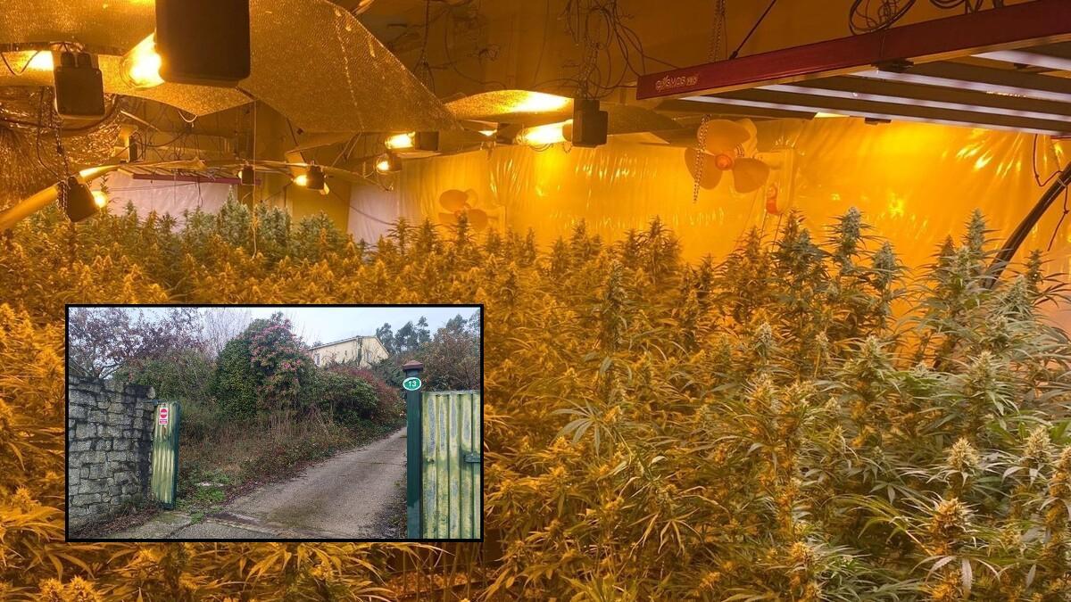 Plantación localizada en la vivienda de Costoia (Ames) que se puede ver en la esquina inferior izquierda de la imagen