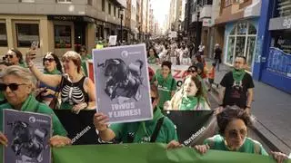 Más de un millar de manifestantes claman por la 'abolición' de los toros en Gijón: 'Cada vez menos gente los quieren'