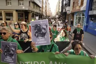 VÍDEO: Manifestación antitaurina en la Feria de Begoña de Gijón