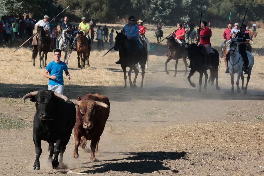 Encierro mixto en San Miguel de la Ribera