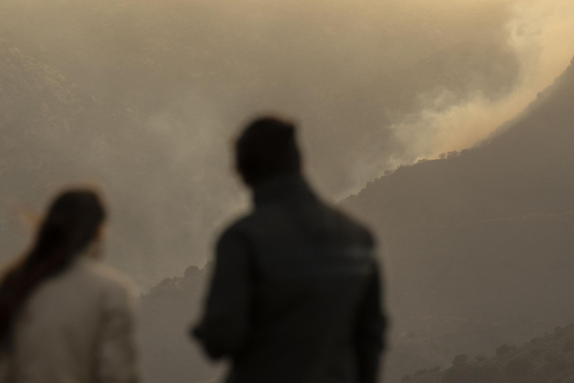 Un incendi sense control atiat per la tramuntana alerta Portbou