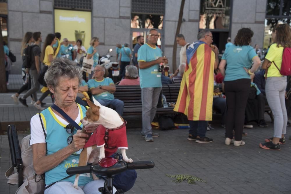 La Catalunya Central a la manifestació de la Diada