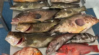 Denunciada por tercera vez la pesca furtiva en la Reserva Marina de La Graciosa