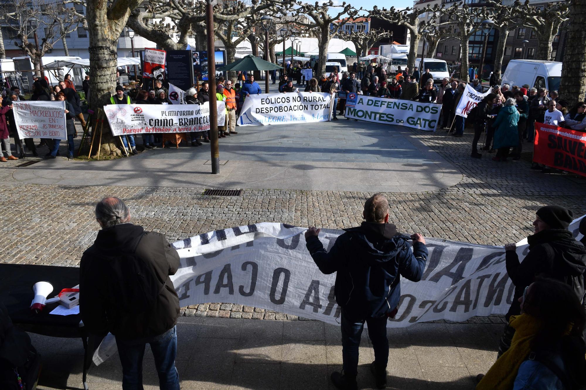 Marcha el Carral contra la "invasión eólica"