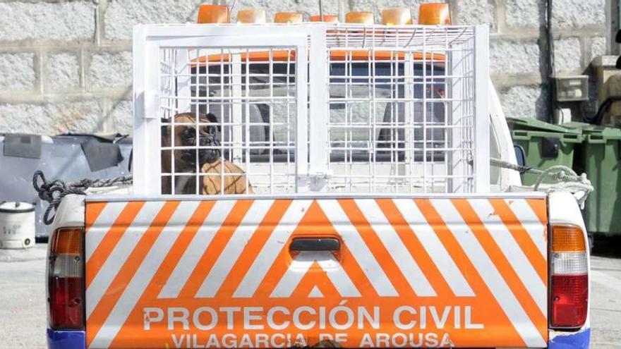 El Servizo Municipal de Emerxencias e Protección Civil de Vilagarcía dispone de un vehículo con jaula para transportar animales. // Noé Parga