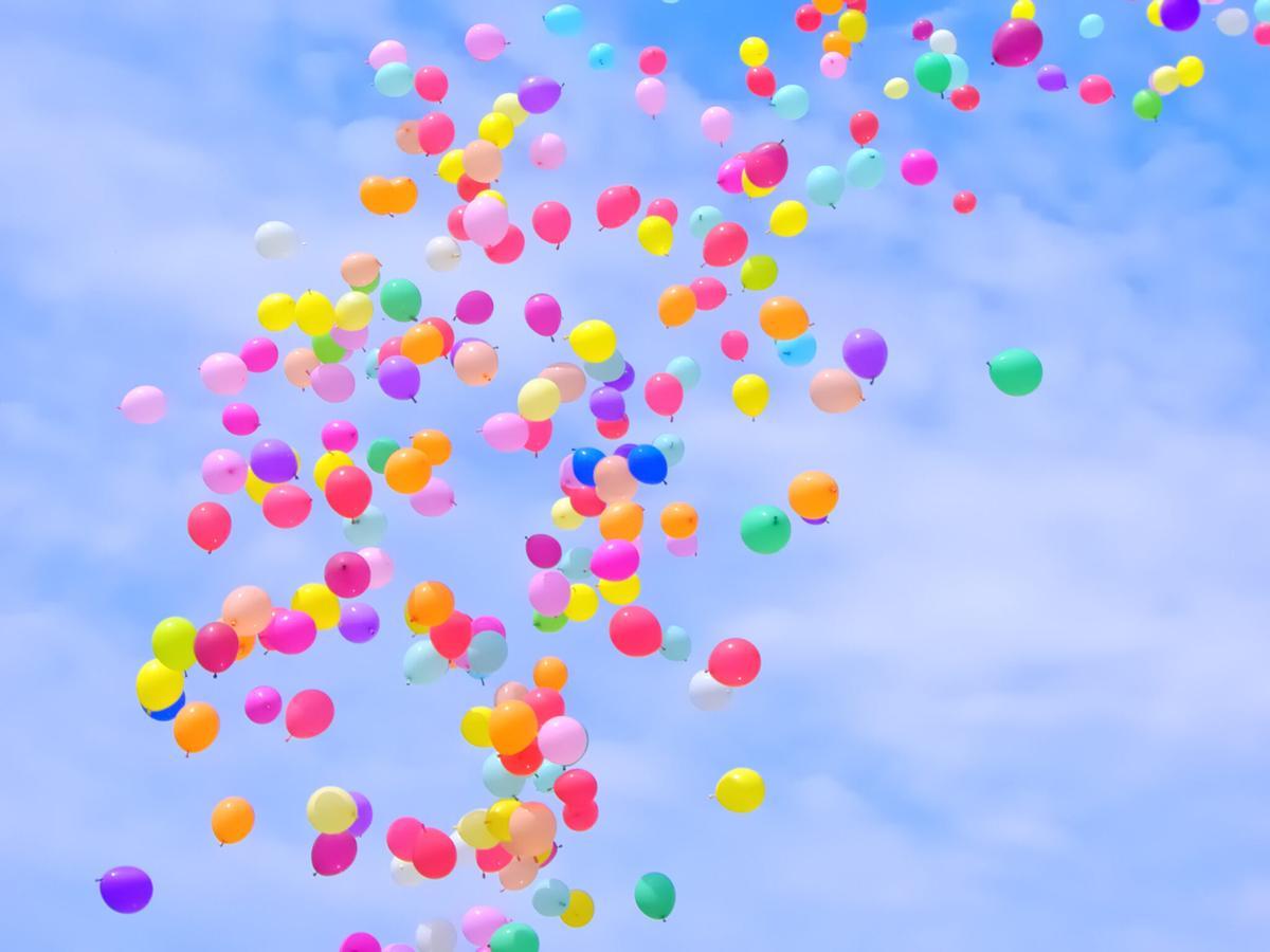 Los globos matan a miles de aves marinas todos los años