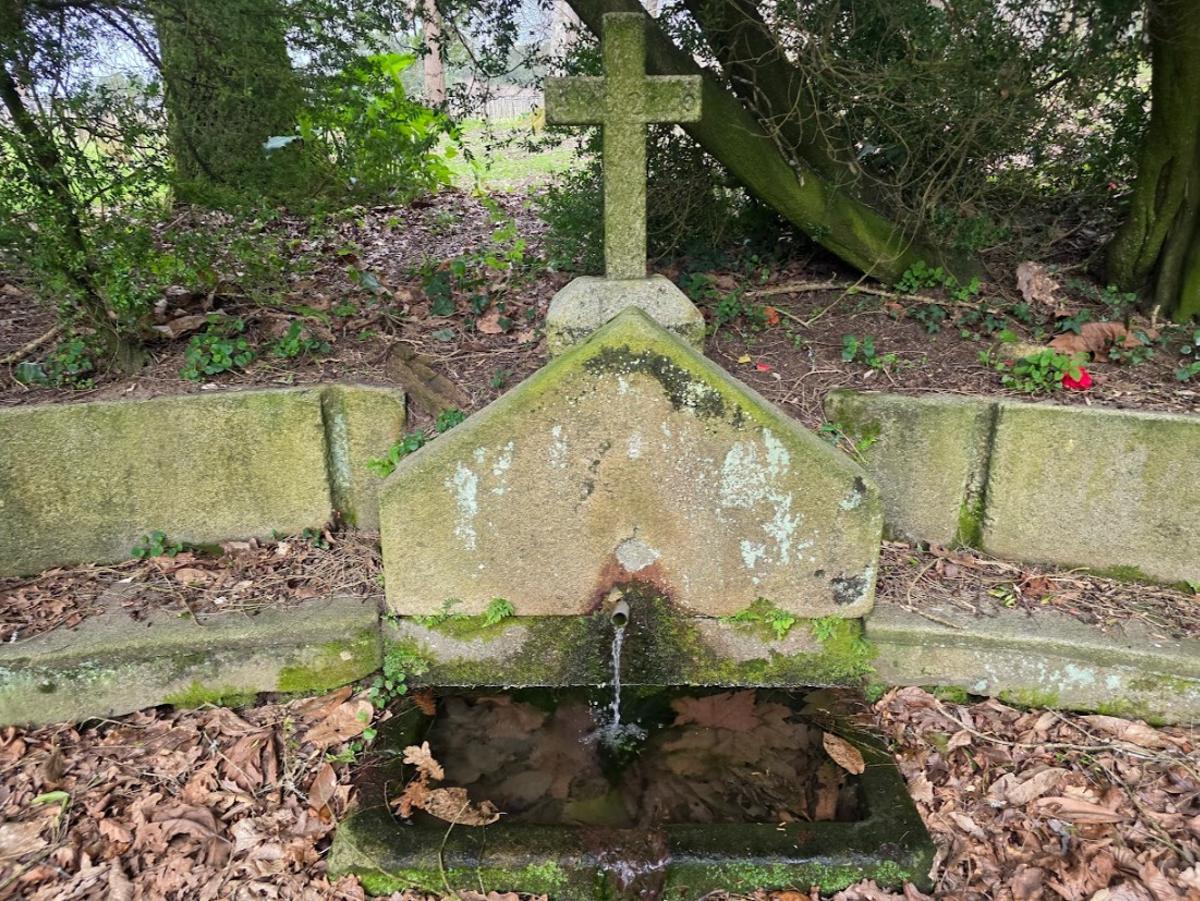 Pazo Rubiáns, en Vilagarcía, sede de la bodega Pazo de Rubianes, desde octubre propiedad de Bodegas Arzuaga.