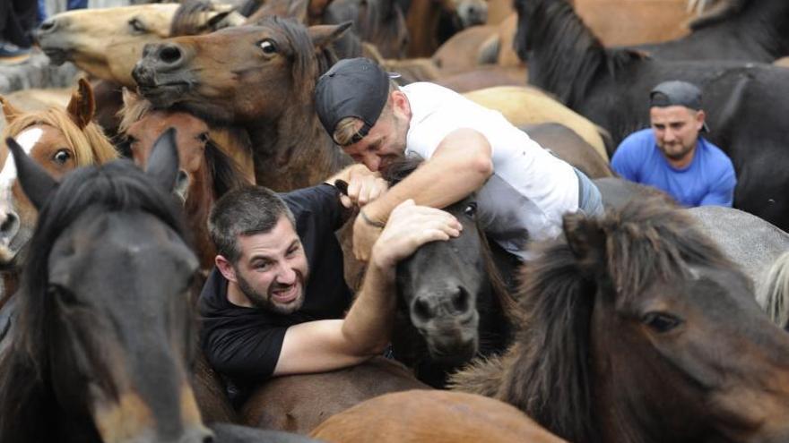 La noble lucha de hombre y bestia hizo 
vibrar al público en el primer curro de la 
era COVID. |   // BERNABÉ / JAVIER LALÍN